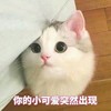 美凉