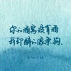 粉丝