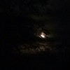 小星