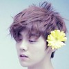 鹿晗