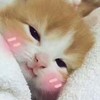 呵呵