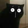 安ss