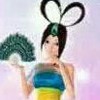 孔雀