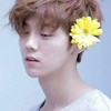 鹿晗