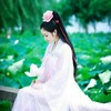 王俊凯宫女