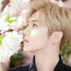 鹿晗