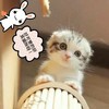 所有人