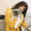 艾莉儿