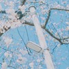魔法宝典