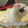 字幕君