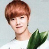 鹿晗