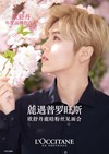 鹿晗