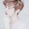 鹿晗
