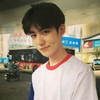 杨树树