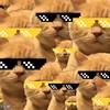 众人