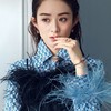 赵丽颖