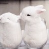 沐晨浠内心