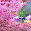 旁白