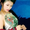 百恋桦