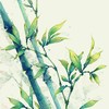 大家