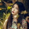 夏曦