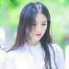 柳徽