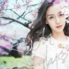 杨颖