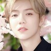 鹿晗