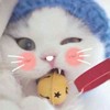 小猫