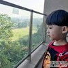 楠楠