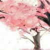 树精,迷谷