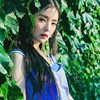作者:Irene
