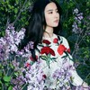 江凌汐
