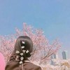夏老师