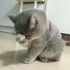 筐子