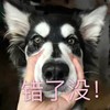 校指挥