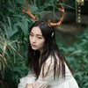 作者:雪儿