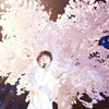 王俊凯