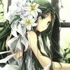 楚淑婷