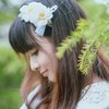 冷倾城