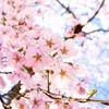 (小)若天晴内心