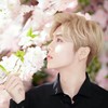 鹿晗