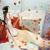 知风