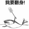 卢忍者