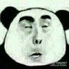 炮龙涛