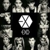 EXO全体