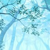 顾浪