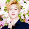 鹿晗