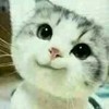 作者我