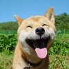 狗爷